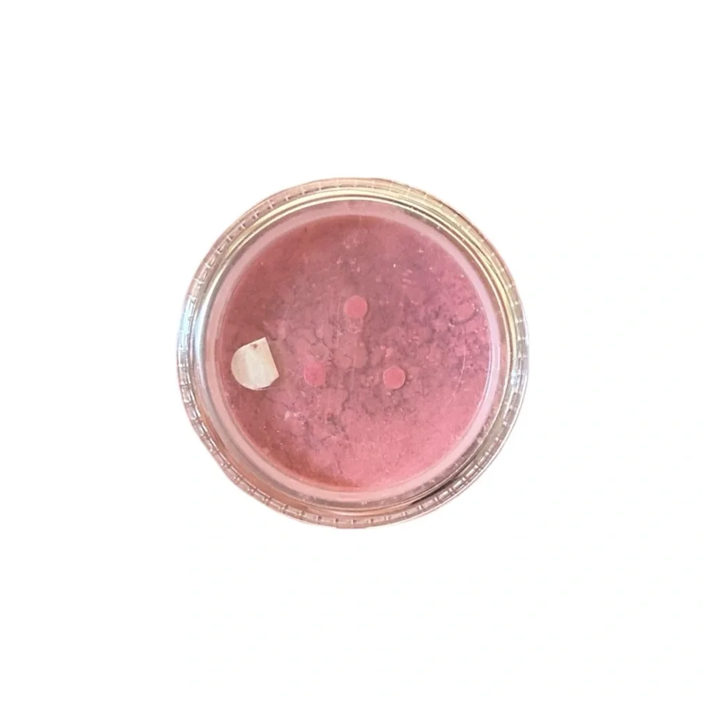 Notoriously Morbid Vegan Loose Powder Don’t Dream It Be It Shimmer Blush Ltd Ed.
